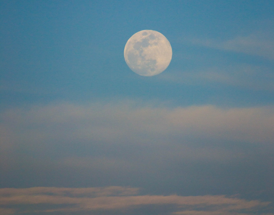 Faire is the Heaven The Esterhazy Singers